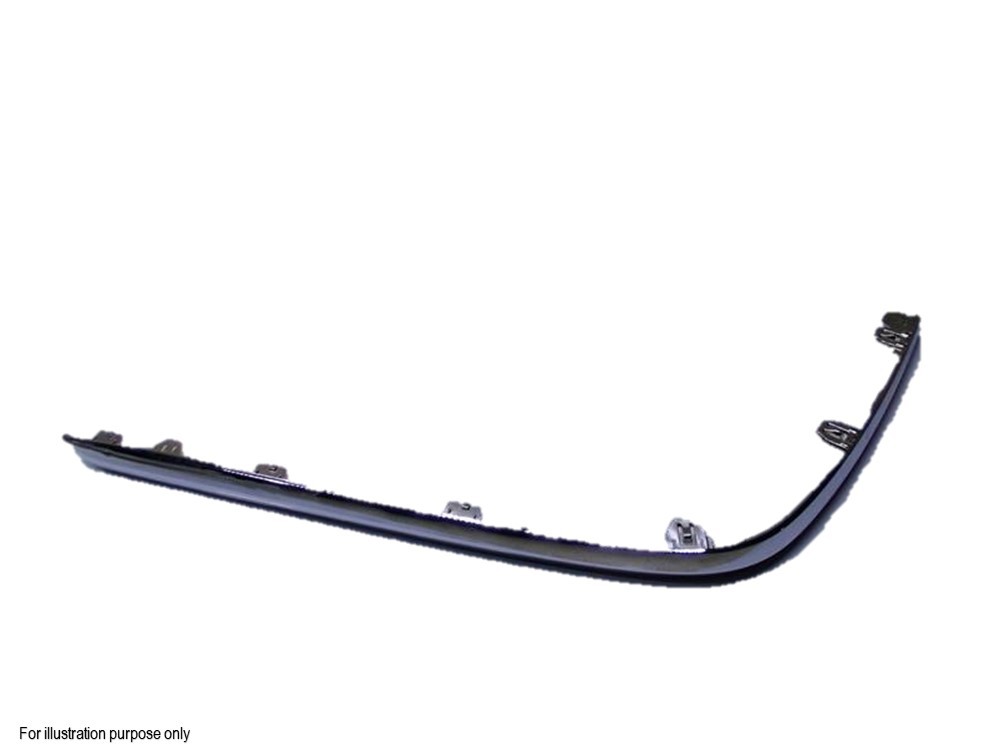 Bumper Molding