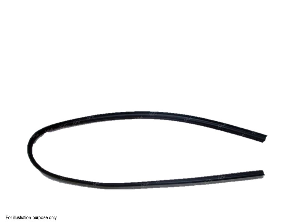 Windscreen Molding
